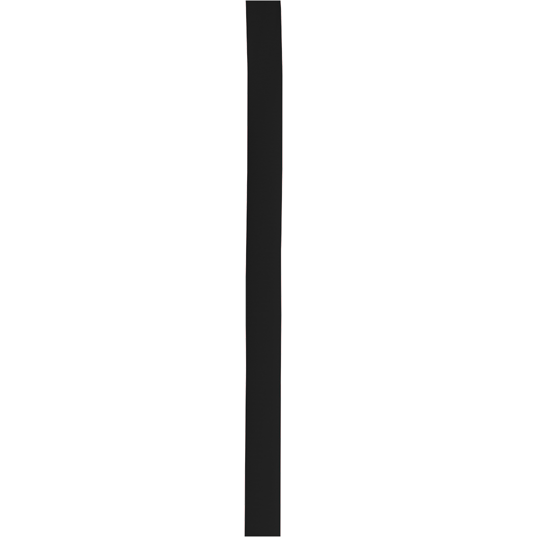 Cinta Sombrero St. Louis - Imagen 16