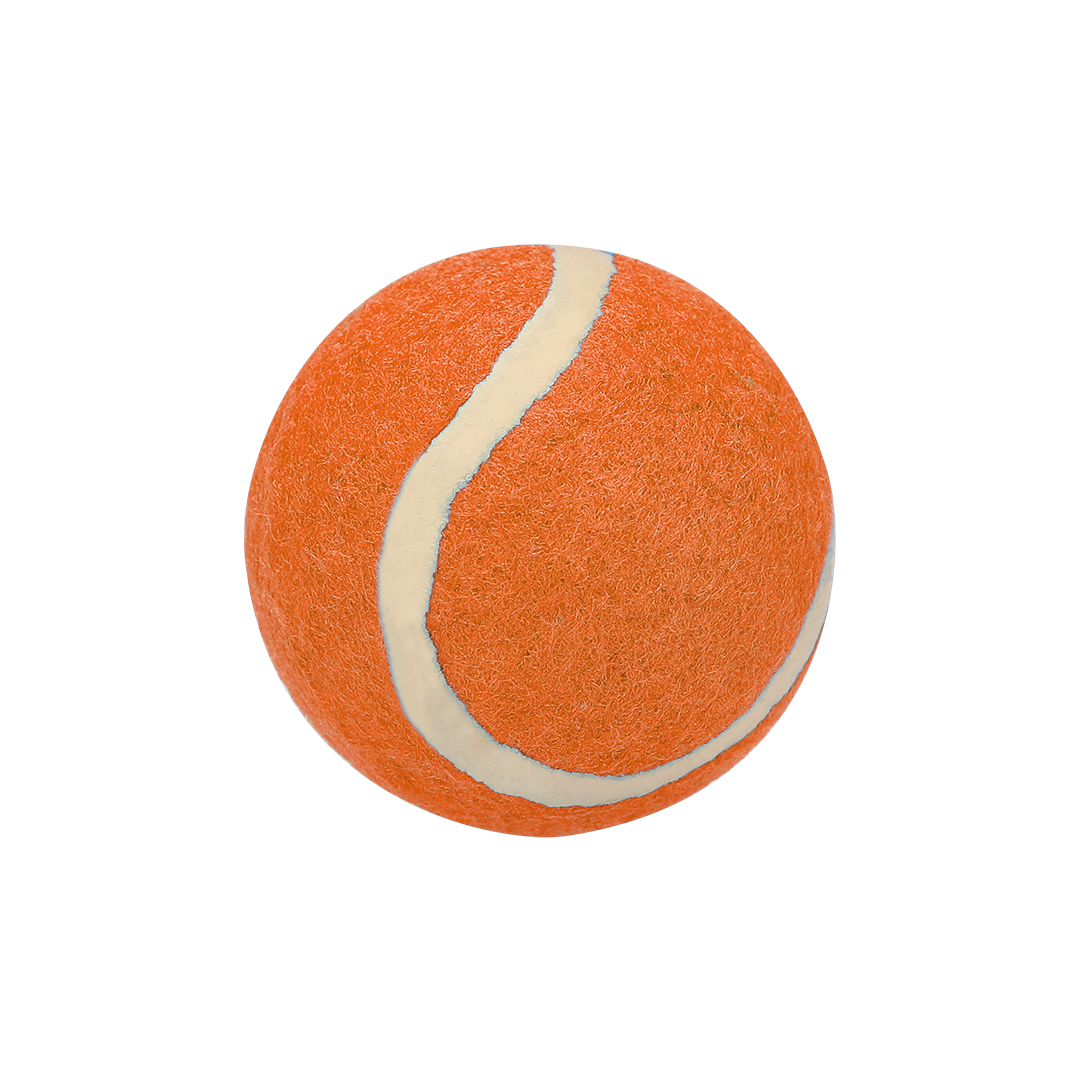 Pelota Des Moines - Imagen 4