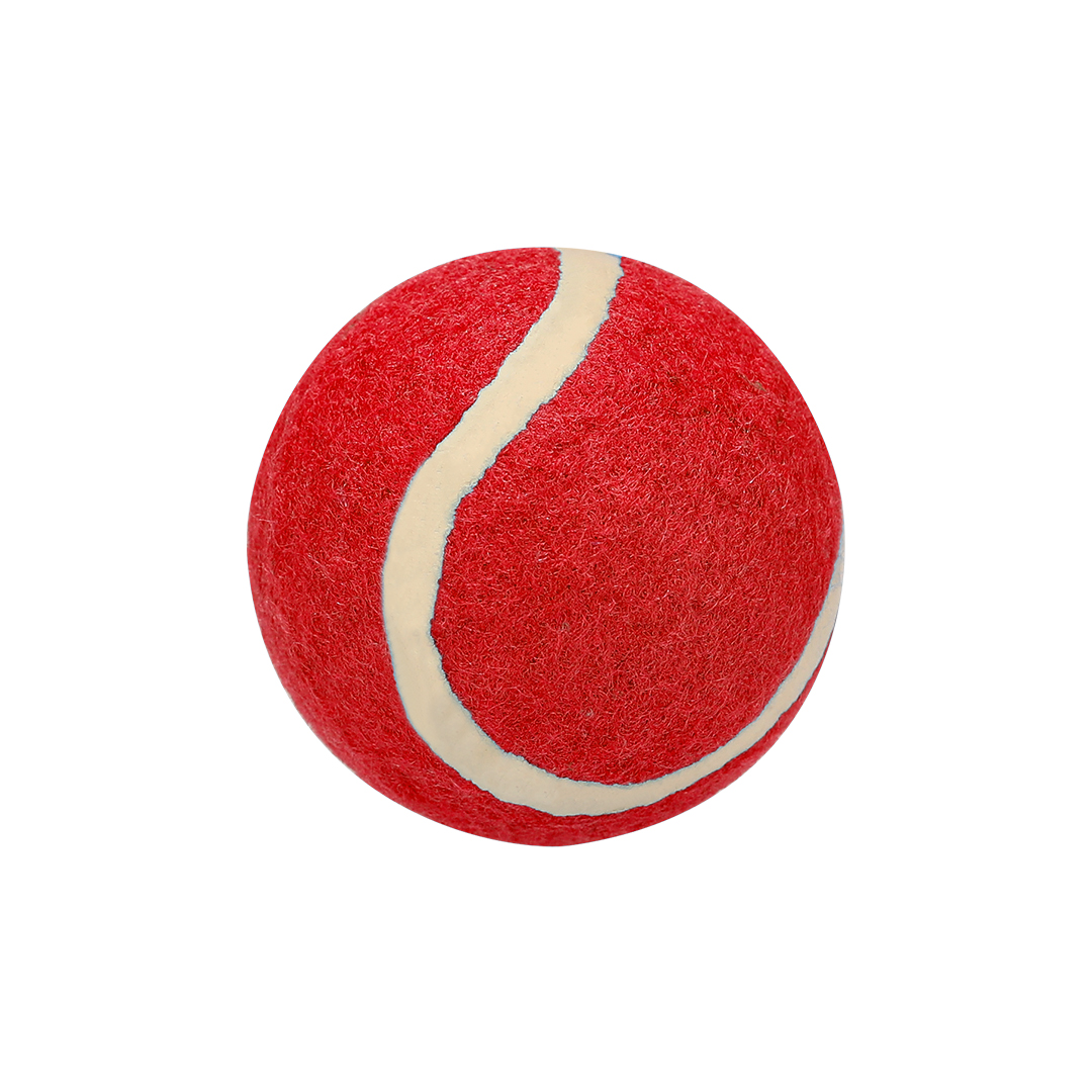 Pelota Des Moines - Imagen 5
