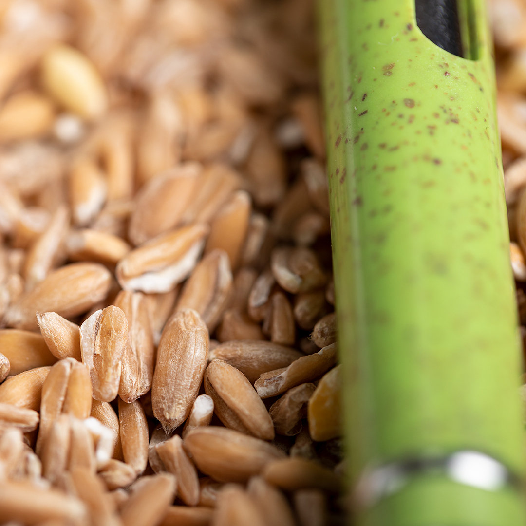 Bolígrafo Miami - Imagen 11