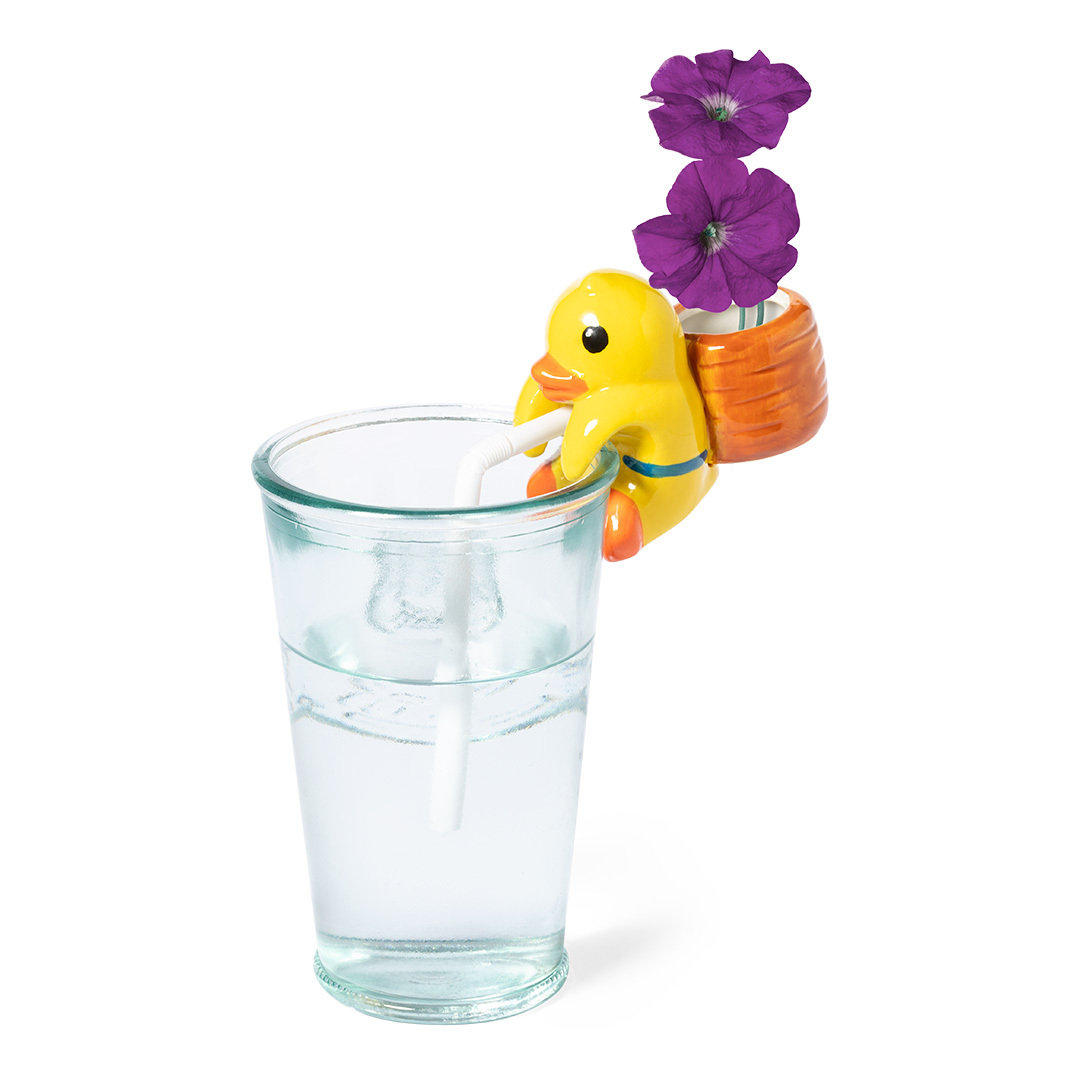 Maceta Las Vegas - Imagen 5