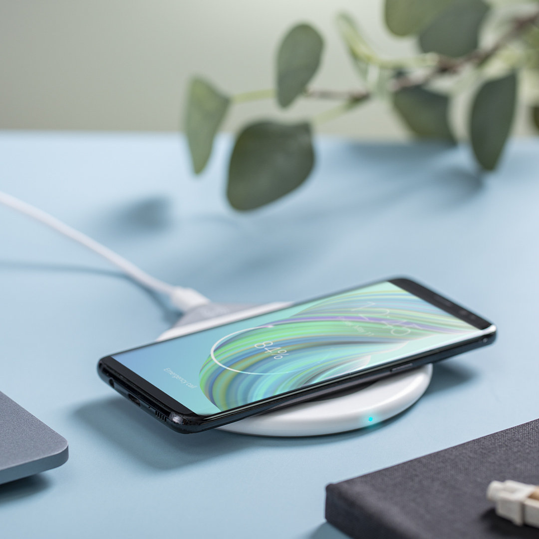 Calentador Tazas Cargador Alameda - Imagen 7