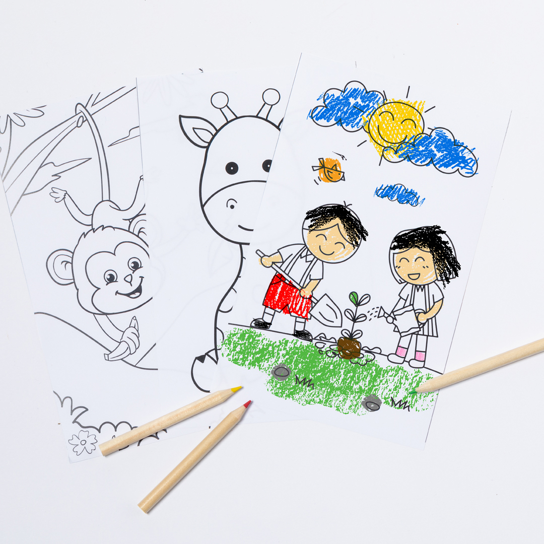 Set Fremont - Imagen 2