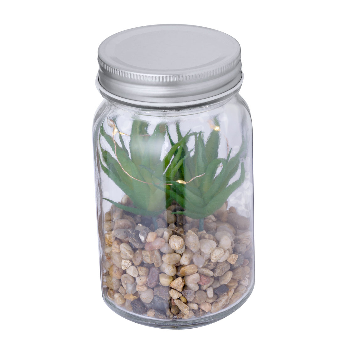 Planta Decorativa Cleveland - Imagen 3