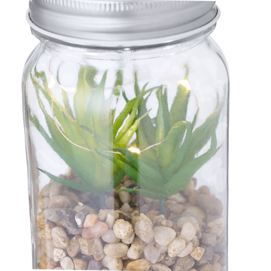 Planta Decorativa Cleveland - Imagen 4