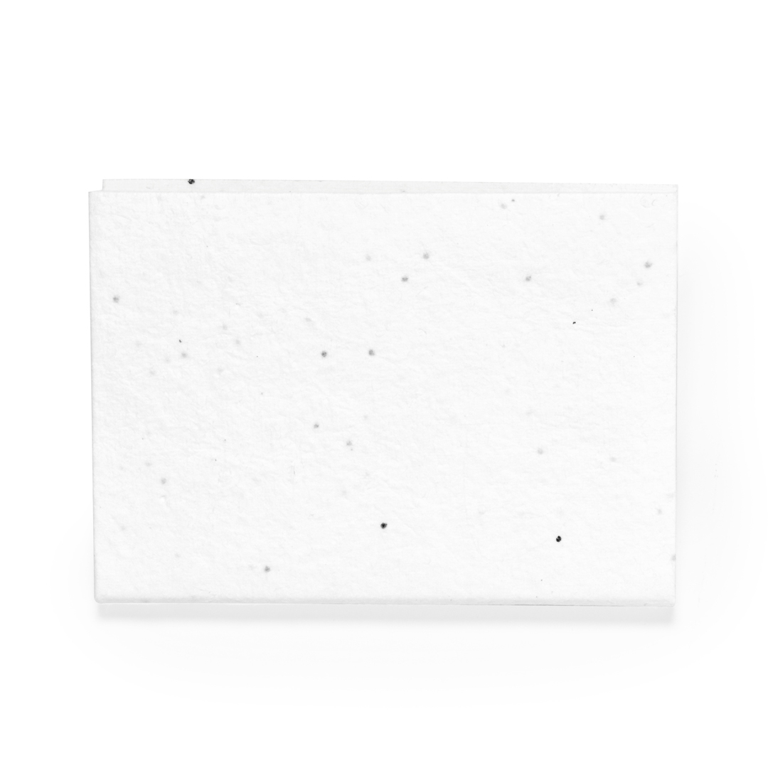 Bloc Notas Semillas Bozeman - Imagen 4