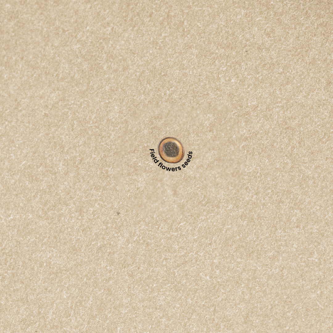 Bloc Notas Semillas Milwaukee - Imagen 5