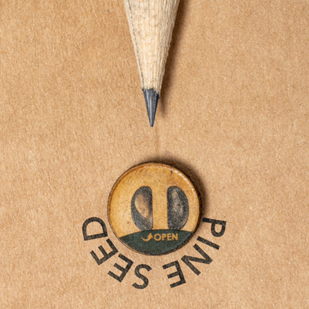 Lápiz Semillas Hayward - Imagen 5