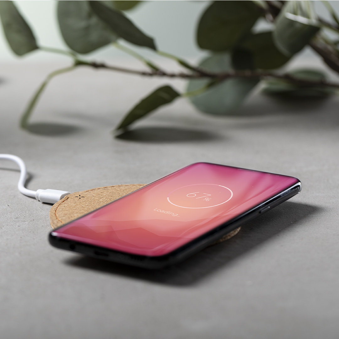 Cargador Livermore - Imagen 5