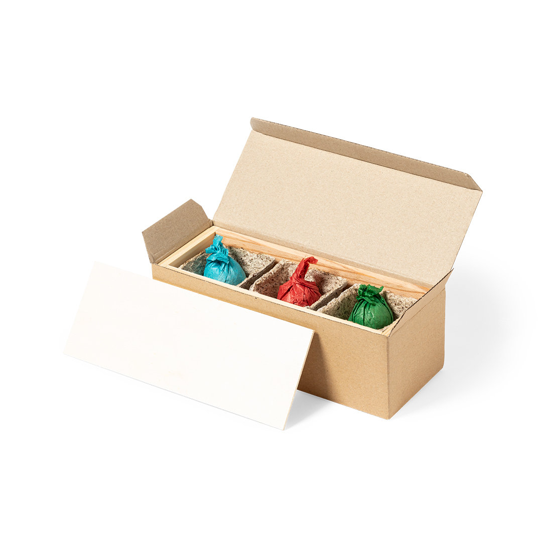 Kit Huerto Kansas City - Imagen 2