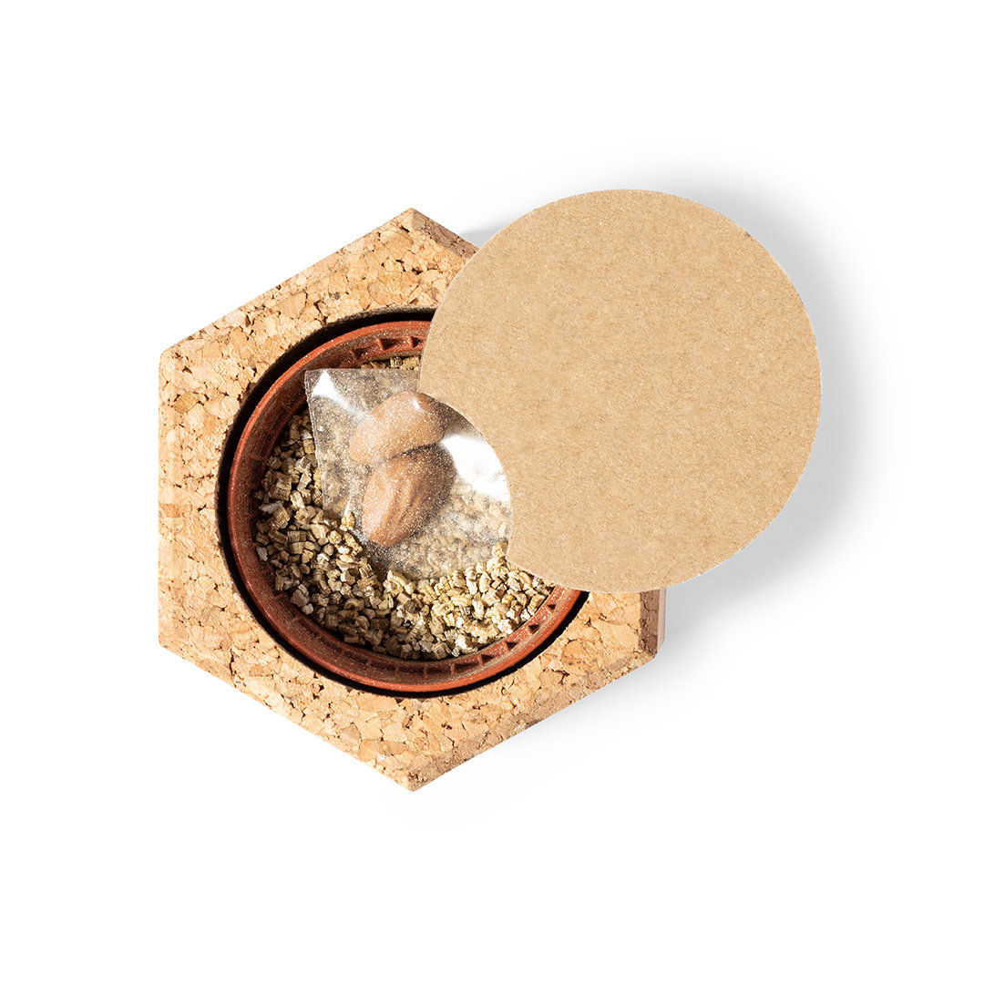 Maceta Salt Lake City - Imagen 3