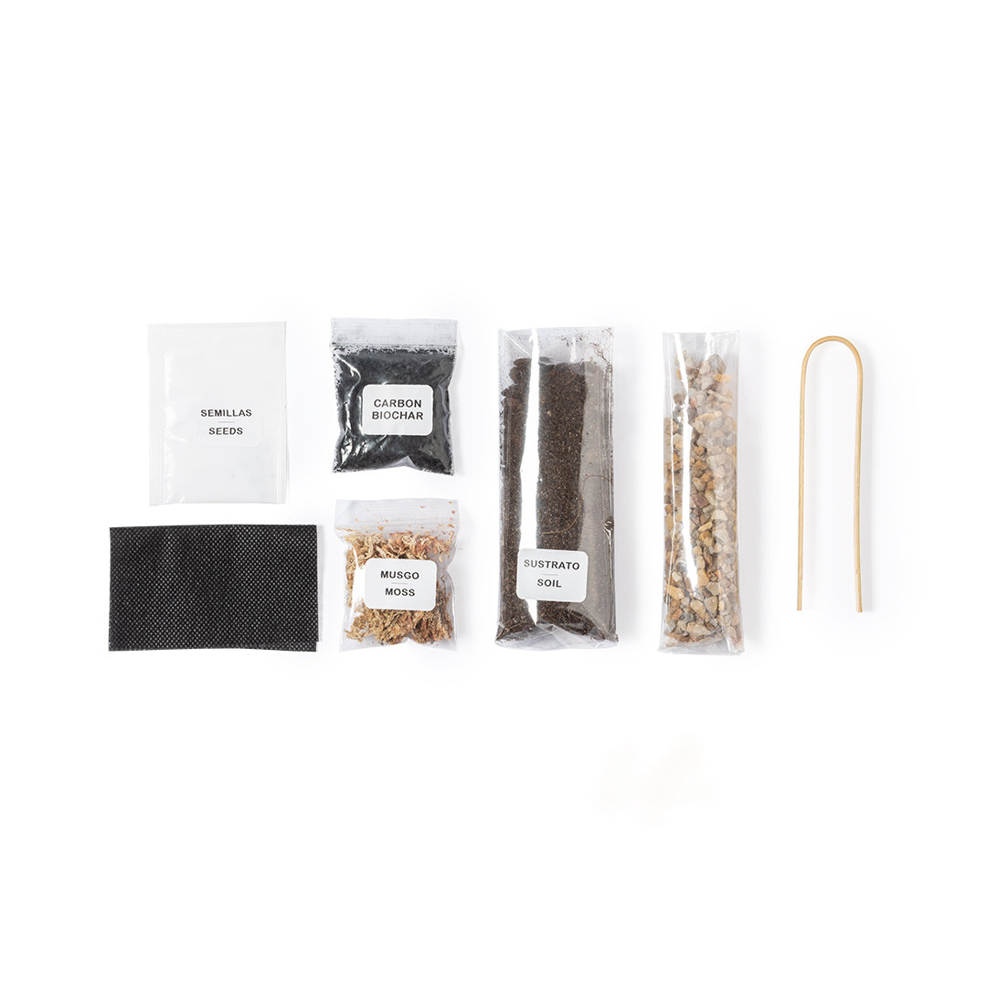 Terrarium Saint Paul - Imagen 3