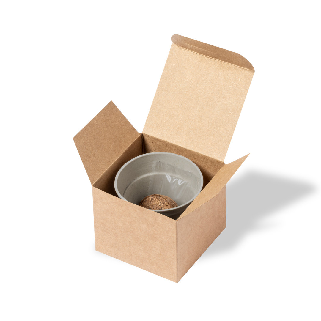 Maceta Houston - Imagen 5