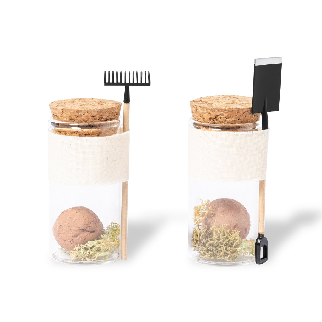 Bombón Semillas Denver - Imagen 2