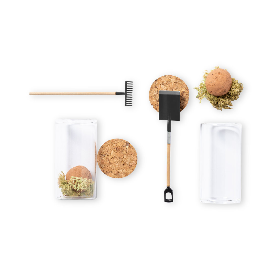 Bombón Semillas Denver - Imagen 3