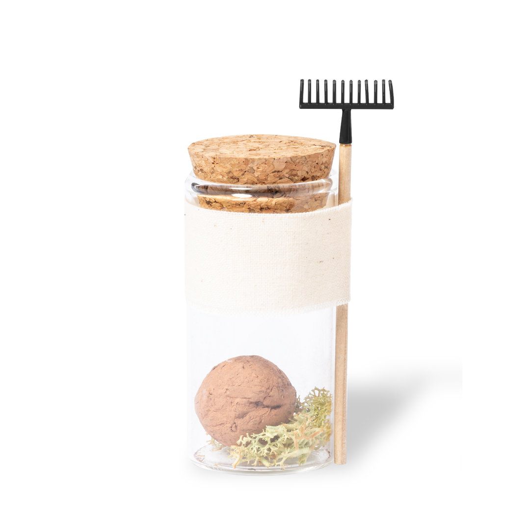 Bombón Semillas Denver - Imagen 6