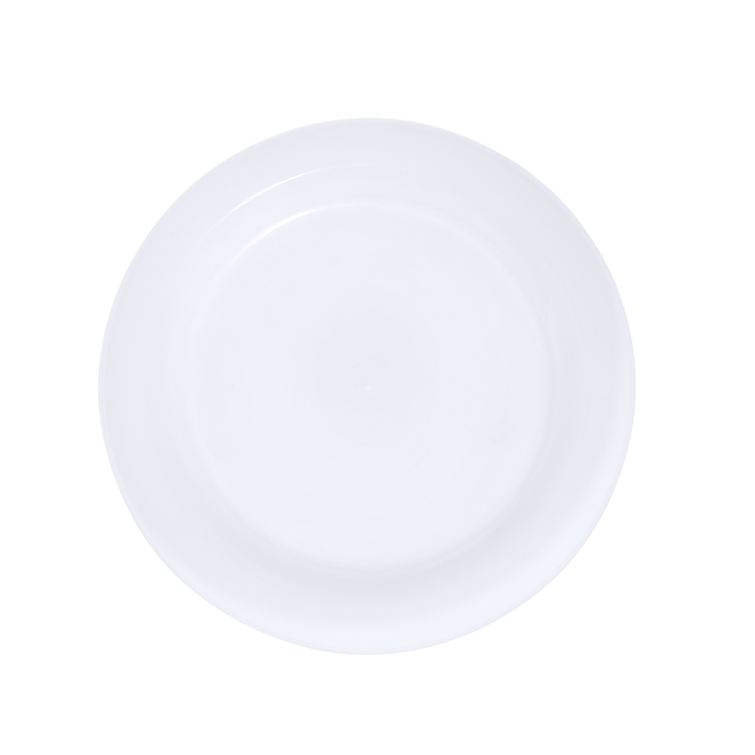 Plato San Carlos - Imagen 3