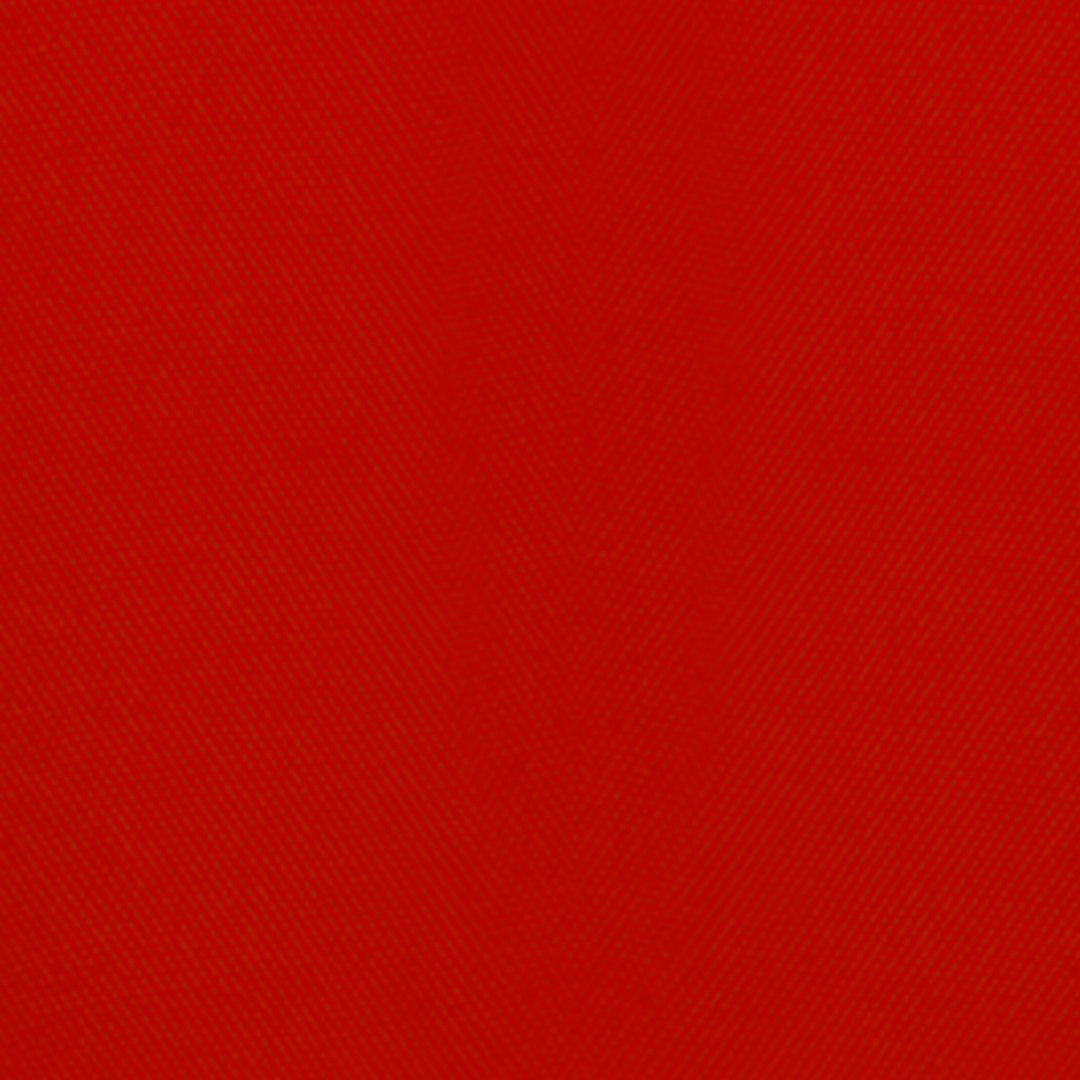 Polo Campbell - Imagen 5