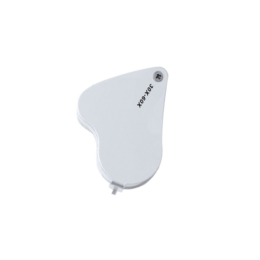 Lupa Salt Lake City - Imagen 6