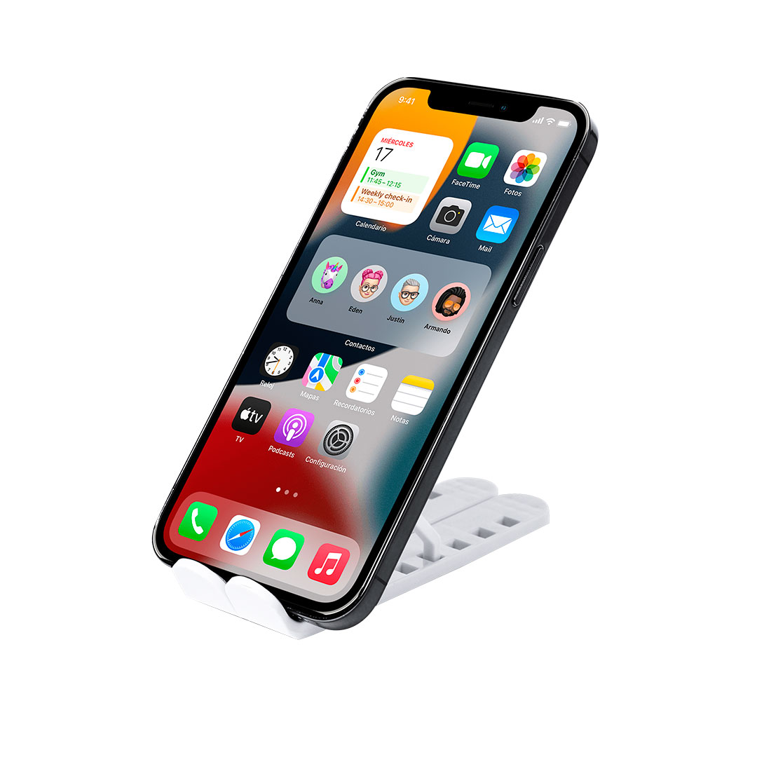 Soporte San Leandro - Imagen 6