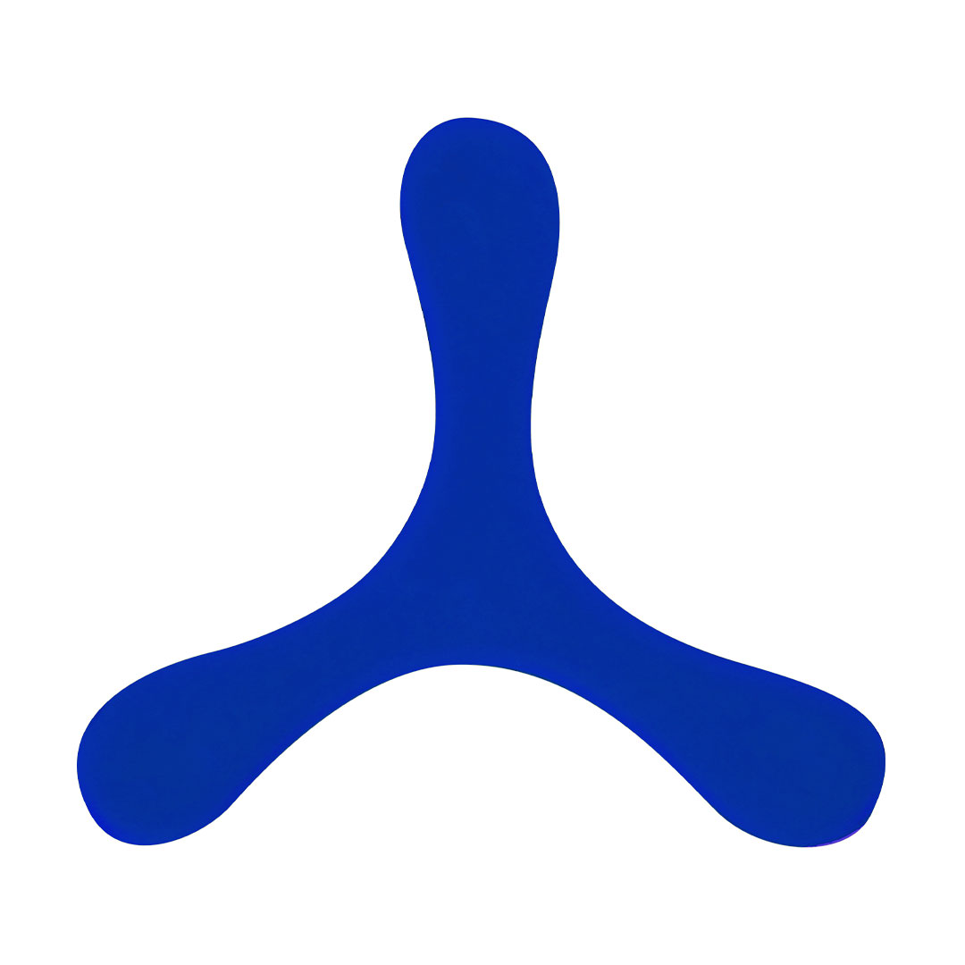 Frisbee Lincoln - Imagen 2