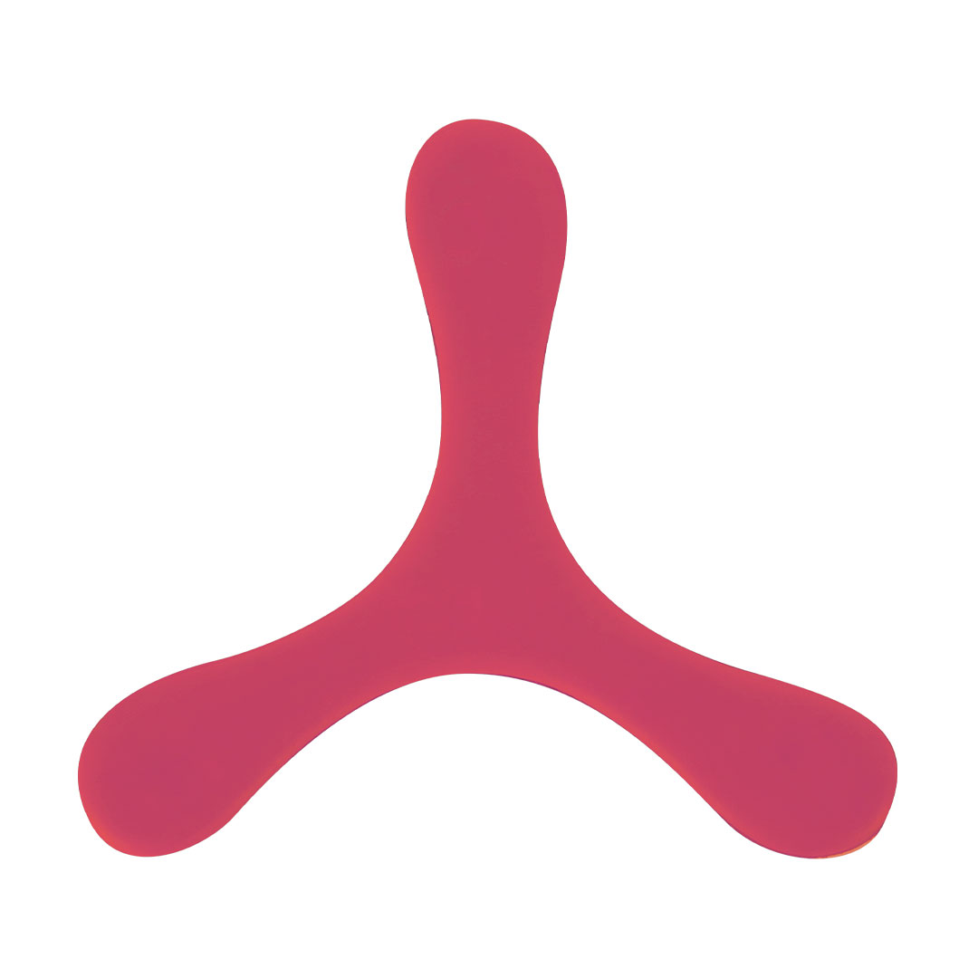 Frisbee Lincoln - Imagen 4